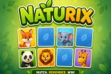 Naturix